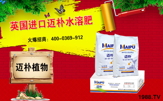 Ӣ���~���c���r(n��ng)���W(w��ng)���m(x��)ǰ�����y�ֹ���(chu��ng)���x�ͣ�