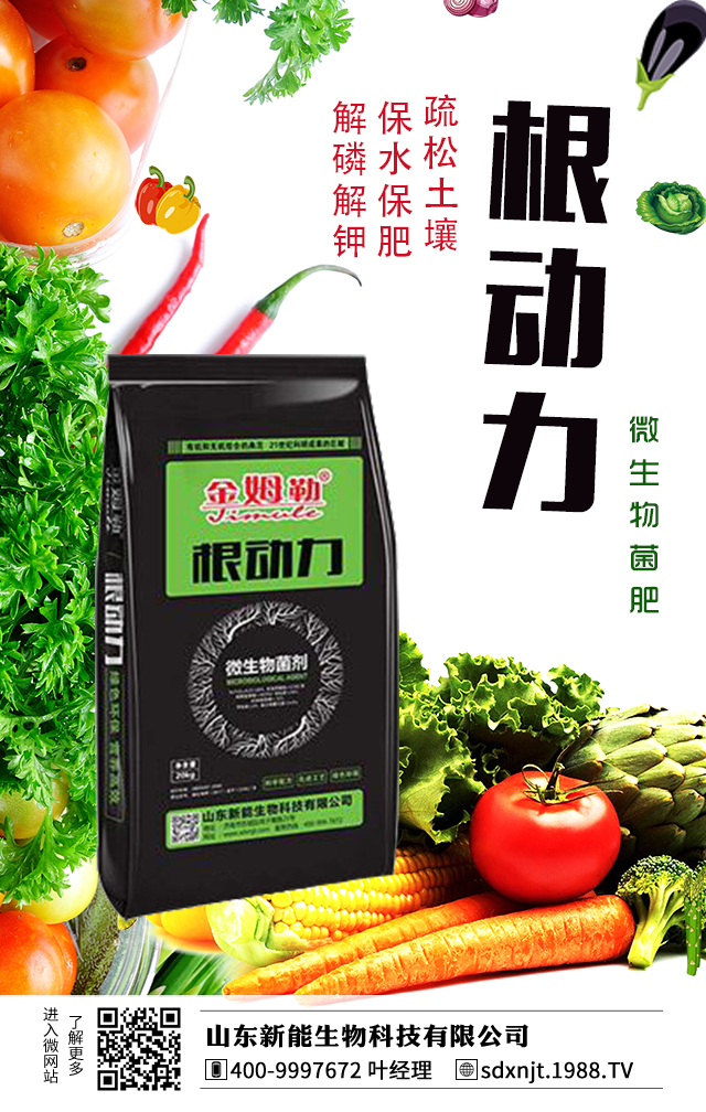 馬鈴薯需肥量大，如何給馬鈴薯施肥？