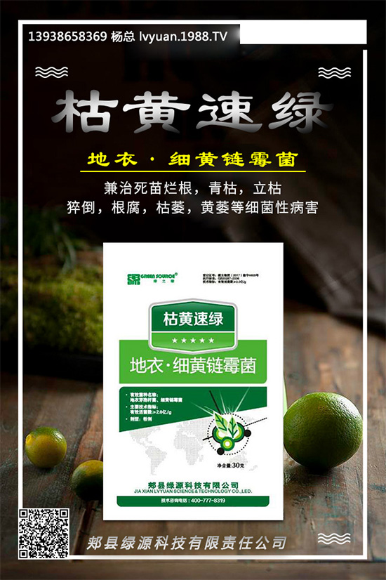 芹菜早疫病有哪些危害?是如何發(fā)生的?芹菜早疫病的發(fā)生與防治