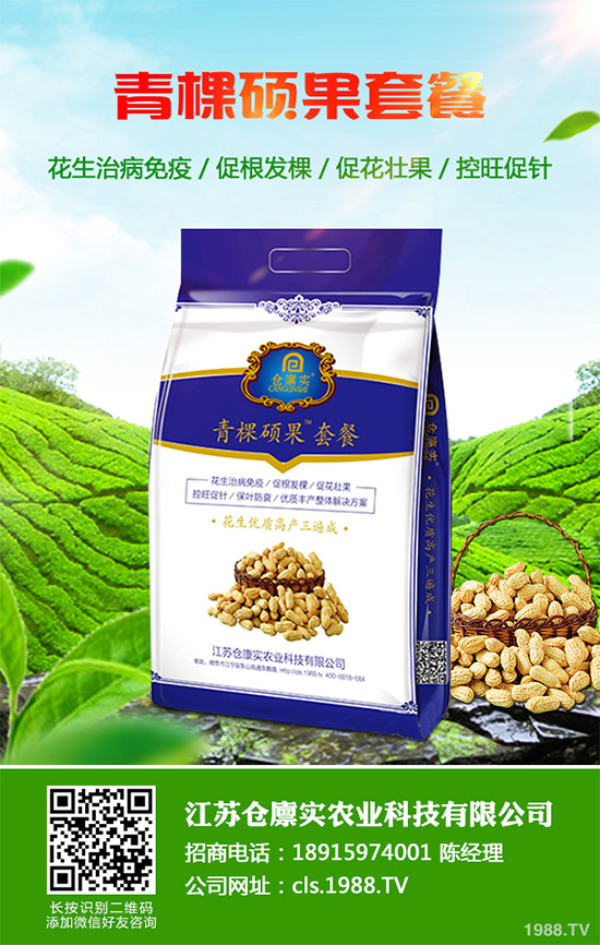 芹菜病毒病危害巨大,到底該如何防治?芹菜病毒病的防治措施