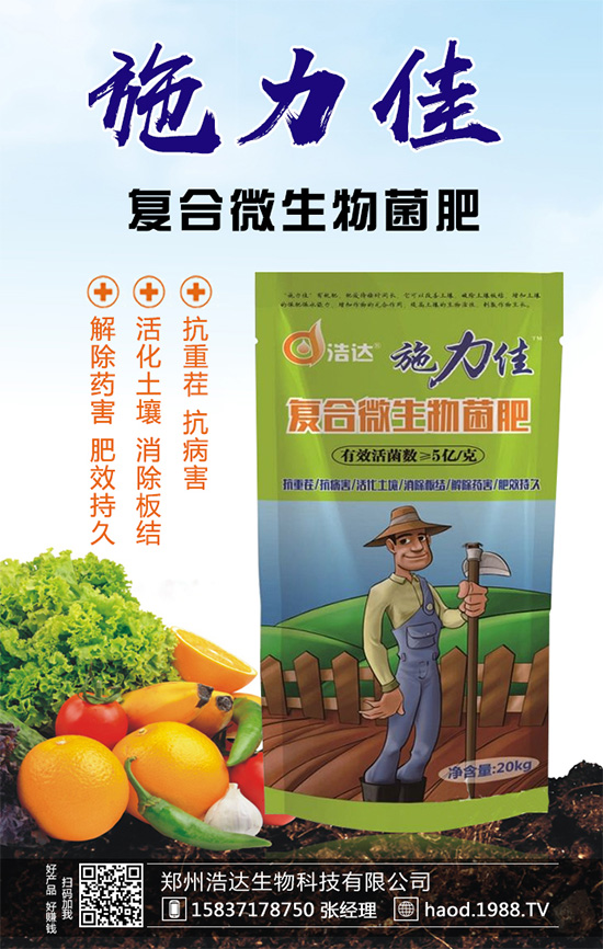 魔芋種植如何實現(xiàn)高產(chǎn)？魔芋高產(chǎn)栽培管理要點