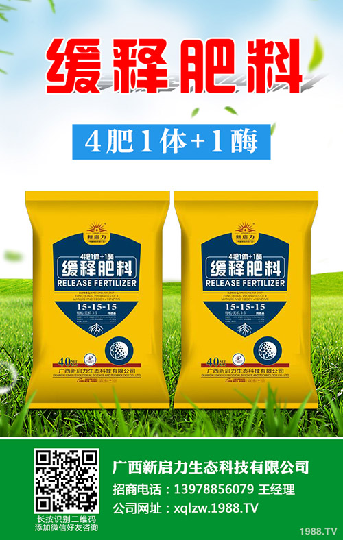 2019年8月下旬國內二銨市場價格行情綜合分析