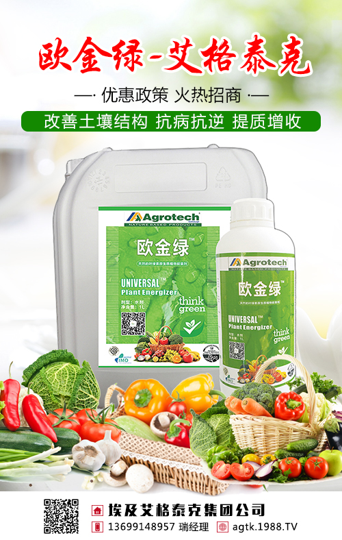 不要盲目施肥了，茶葉需要吃對(duì)糧！