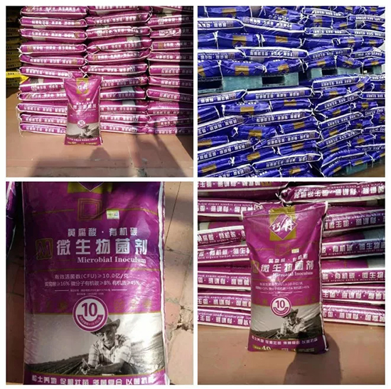 【微生物菌劑+有機肥】效果牛逼!施一遍頂三遍,省力又高產(chǎn)!