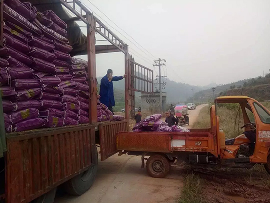 【微生物菌劑+有機肥】效果牛逼!施一遍頂三遍,省力又高產(chǎn)!