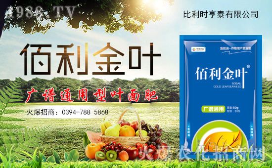 �����r��̩�ɹ���1988.TV���_���r(n��ng)�Y�N����������