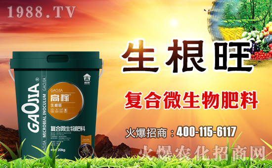 ���ϸ߼�����ɹ����v�r(n��ng)���W(w��ng)���_��(chu��ng)�W(w��ng)�j(lu��)���������E��