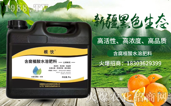 �½���ɫ���B(t��i)�������v���r(n��ng)�����̾W(w��ng)�����F(xi��n)��I(y��)�°l(f��)չ��