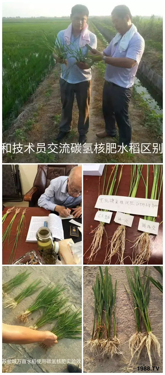 上百家媒體報道，打造超過歐盟食品標(biāo)準(zhǔn)作物！碳?xì)浜朔示褪沁@么火爆！