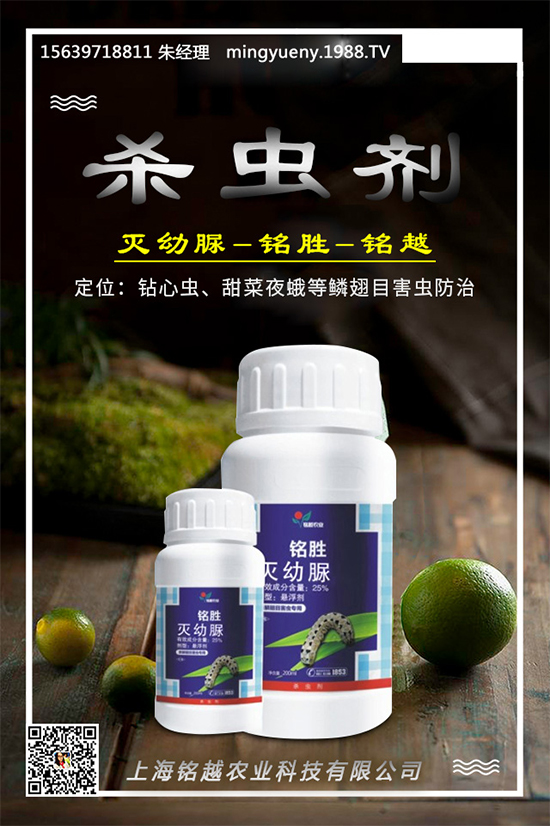     �����x(ch��ng)�r(n��ng)ˎ�r(ji��)��