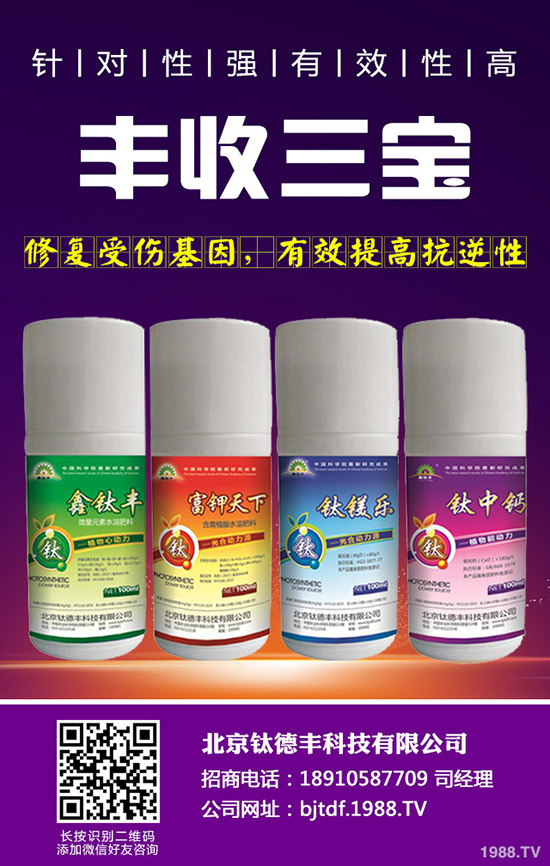 大蒜如何施肥才能高產(chǎn),大蒜高產(chǎn)施肥技術(shù)!