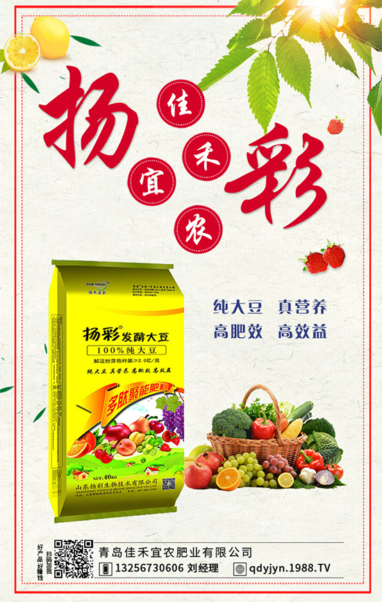秋茬西紅柿要想產(chǎn)量高，如何澆水沖肥？