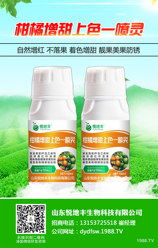 西蘭花該怎么種植？西蘭花高產(chǎn)種植技術(shù)要點(diǎn)