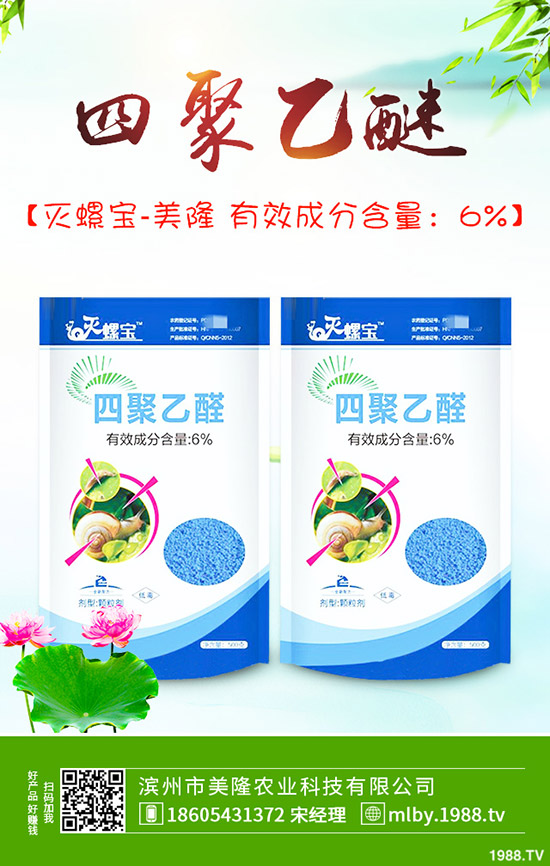 ����ԓ��ԓժ�~������ժ�~��β�����