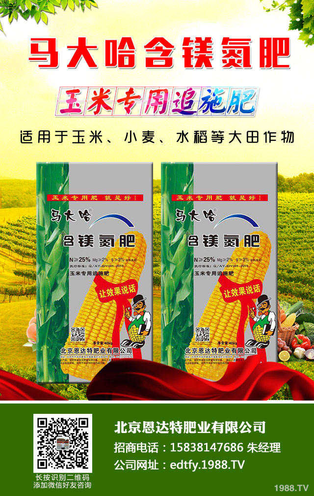 ���[��������ô���������[�������ɹ���