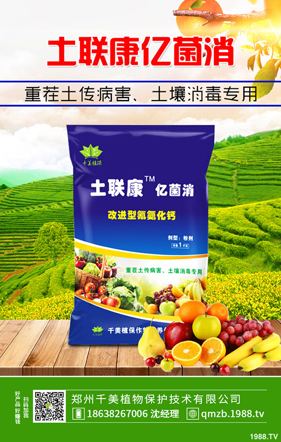     秋季大棚辣椒如何管理？秋季溫室辣椒定植管理技術(shù)！