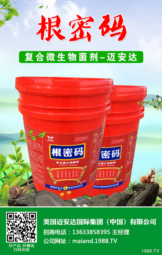 西葫蘆什么時候種植？西葫蘆種植技術(shù)！