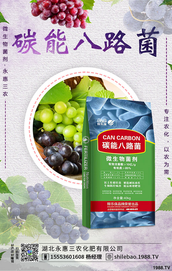     花菜什么時(shí)候種植合適？花菜種植時(shí)間及種植管理技術(shù)！