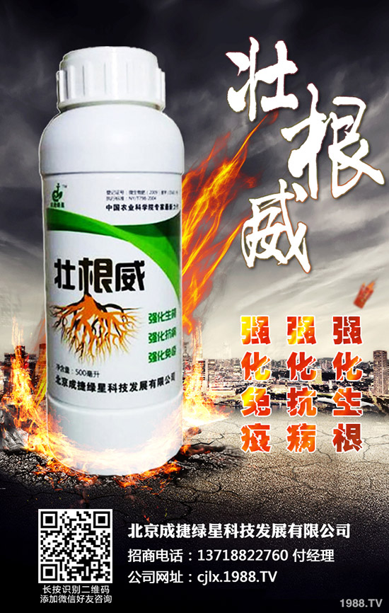 青椒的種植方法有哪些？青椒種植過程中需要注意的幾大問題