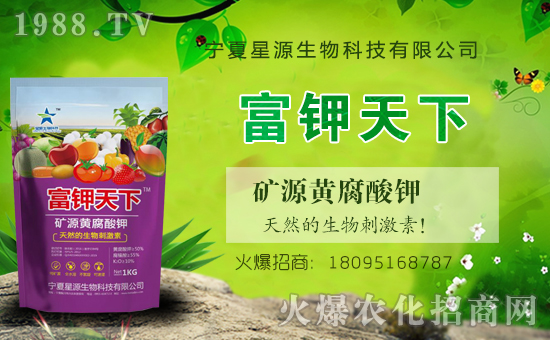 ��Դ�������v���r(n��ng)���W(w��ng)���_(k��i)���W(w��ng)�j(lu��)������������