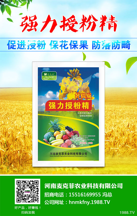 �������Щ�I(y��ng)�B(y��ng)�r(ji��)ֵ���Խ������Щ��̎����˵Ĺ�Ч�c����