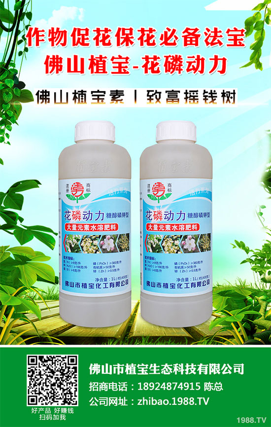 秋季大蔥什么時(shí)間種植？2019秋茬大蔥種植技術(shù)指南