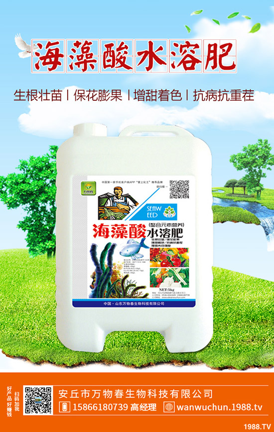 蘆薈多久澆一次水？蘆薈澆水注意事項！