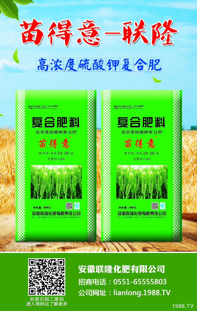 小麥怎么管理效果好？小麥成熟期田間管理