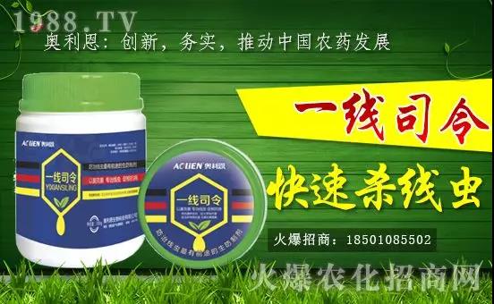 �W�����������v���r(n��ng)���W(w��ng)���_���W(w��ng)�j������������