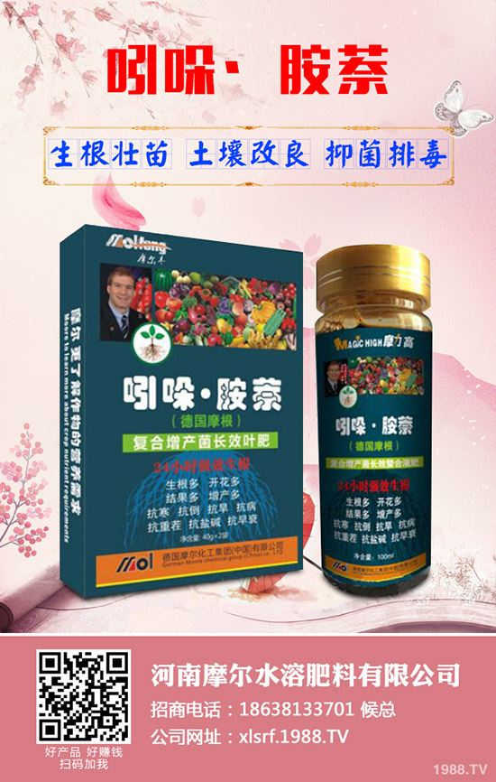 蓮藕怎樣才能高產，蓮藕的高產管理技術