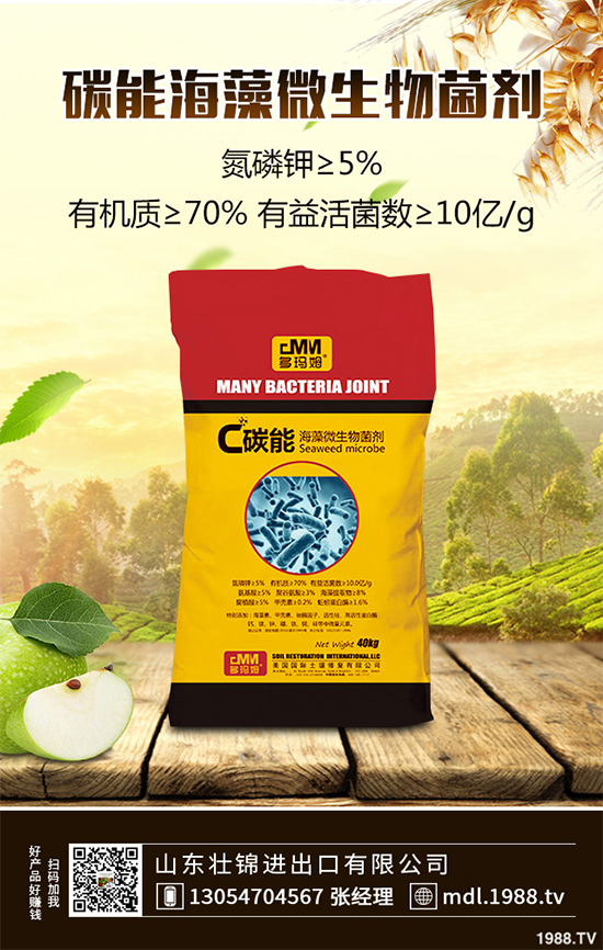 ���[�ϰ߲�����ЩΣ�������������������[�ϰ߲��ķ��δ�ʩ