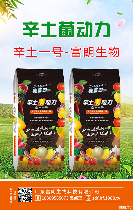 芹菜種植那種比較合適？那種品種收益高？芹菜優(yōu)良品種推薦！