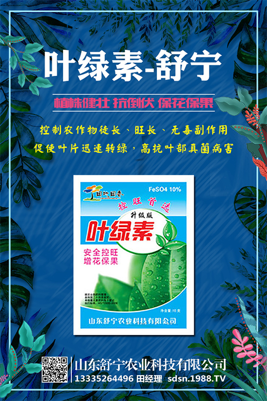 柿子怎么種植？種植柿子的注意事項有哪些？