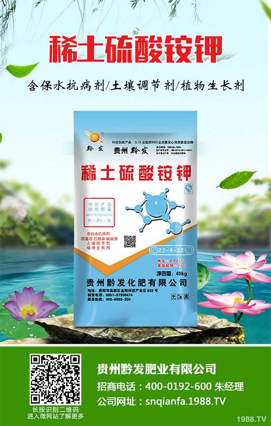 萵苣什么時候種植？萵苣高產(chǎn)種植方案