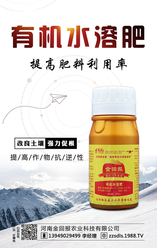 芒果什么時候種植？芒果的高產(chǎn)種植方法！