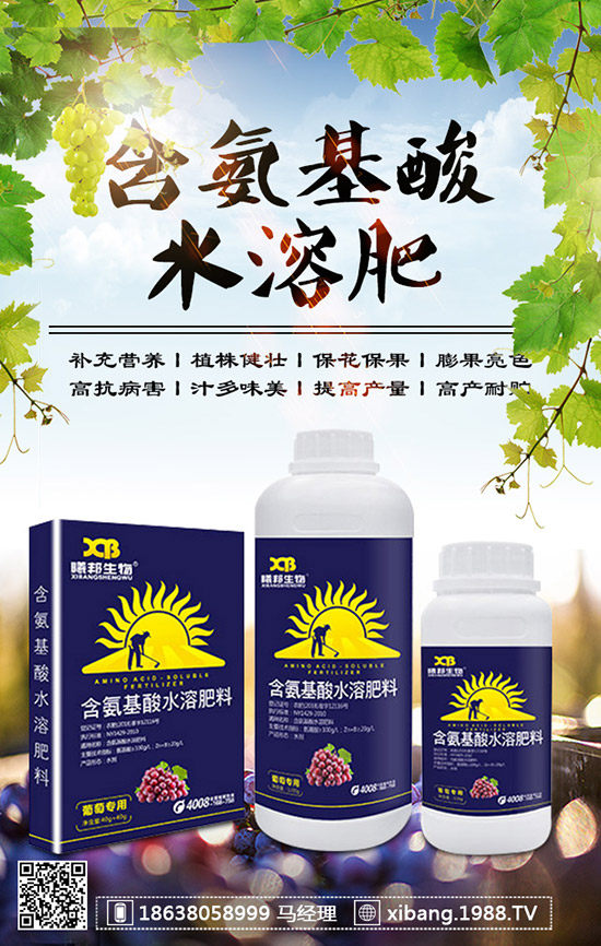 櫻桃蘿卜什么時候種植？櫻桃蘿卜是否需要澆水