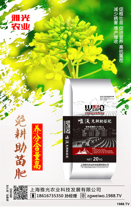 紫薯有哪些營(yíng)養(yǎng)價(jià)值，紫薯與紅薯相比哪個(gè)更有營(yíng)養(yǎng)？