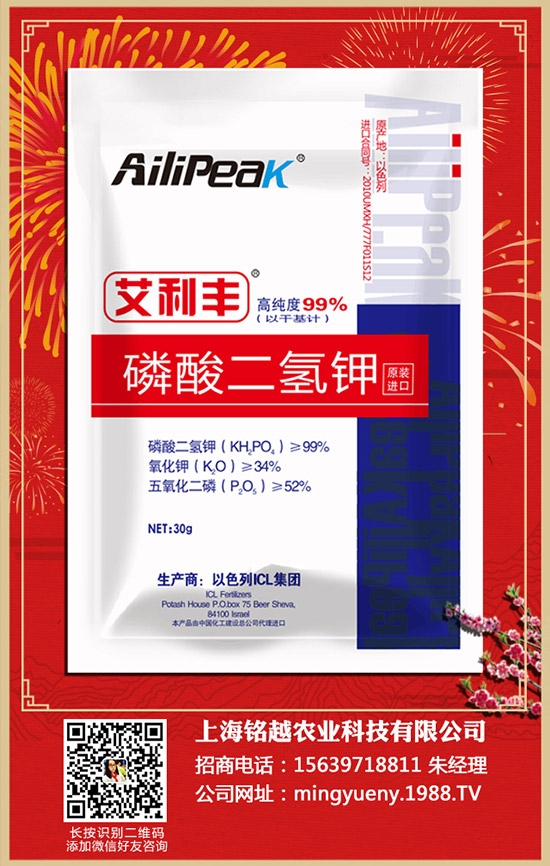 紫薯如何種植，紫薯種植方法和注意事項(xiàng)！