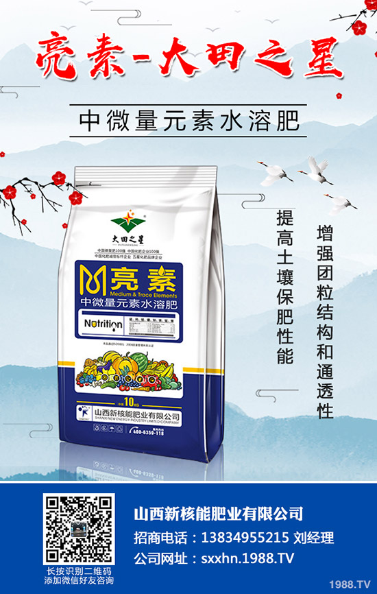 秋季蔬菜如何育苗？秋季常用的育苗的小方法及技術(shù)！