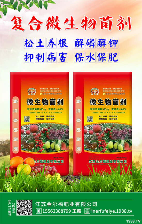 �㶹ʲô�r(sh��)��Nֲ��ԓ��ô�N���㶹�Nֲ�r(sh��)�g���Nֲ���g(sh��)Ҫ�c(di��n)