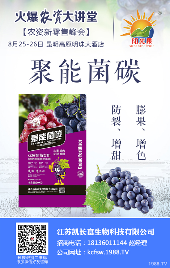 盆栽豌豆該怎么種？盆栽豌豆種植方法及注意事項(xiàng)