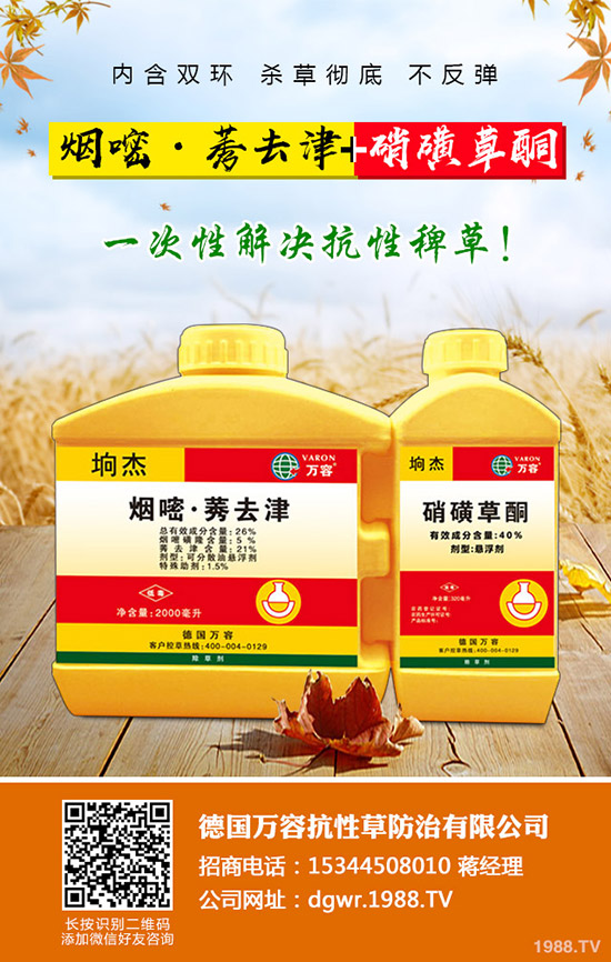 花椒樹怎么嫁接，花椒樹嫁接方法！