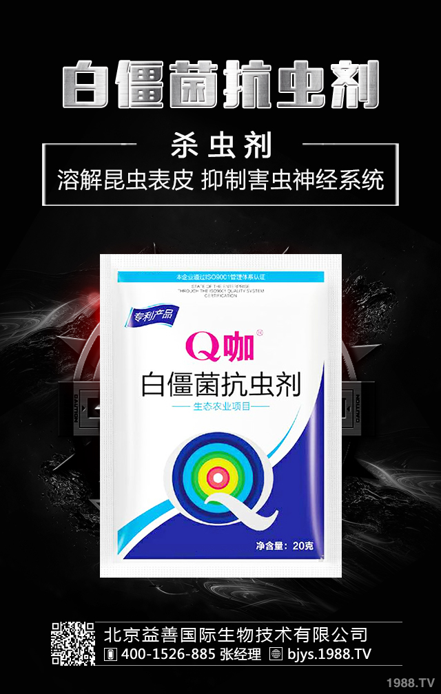 月季病蟲害怎么防治？月季病蟲害防治集錦