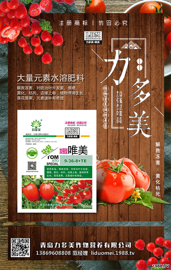 豌豆該怎么種?豌豆的播種方法及種植管理技術