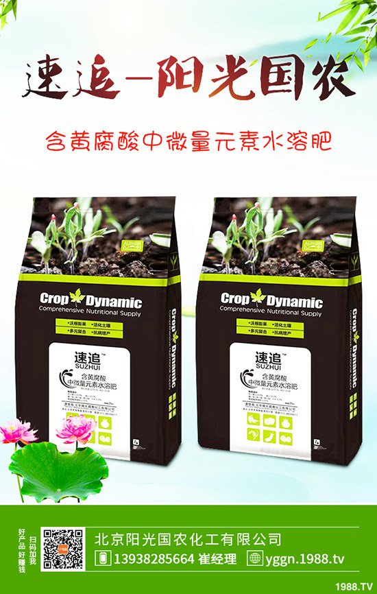     國慶將至！磷酸二銨價(jià)格是否影響？最新二銨行情分析2019-9-241-(238)