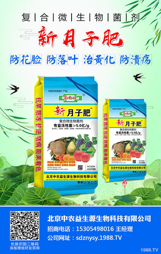 芹菜燒心、空心、葉柄開裂什么原因？芹菜燒心防治方法有哪些？