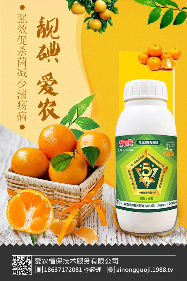 柑橘潰瘍病怎么防治？柑橘潰瘍病防治技巧