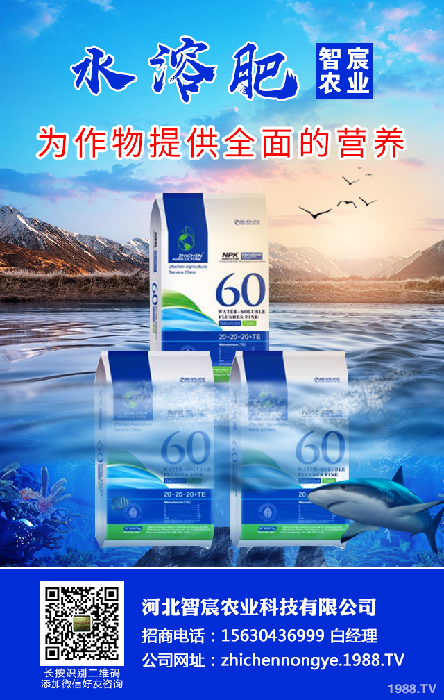 ��������������η����������綬���������g(sh��)