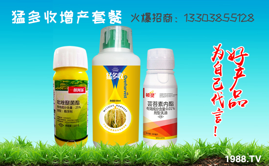     ���r(n��ng)���W(w��ng)ϲӭ�����������τ٠��𱬁��u�����v�ɹ���