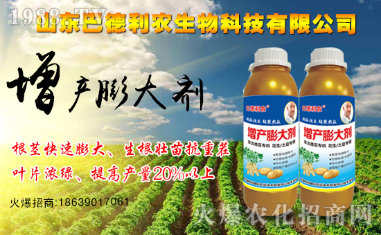 ����ף�Rɽ�|�͵����r(n��ng)����1988.TV���_(k��i)���W(w��ng)�j(lu��)������ģʽ��